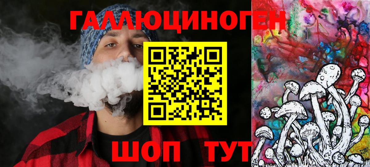 Красногорск  магазин продажи наркотиков  Вход с VPN  Псилоцибиновые грибы Psilocybine cubensis  Галлюциногенные грибы ЛСД 
